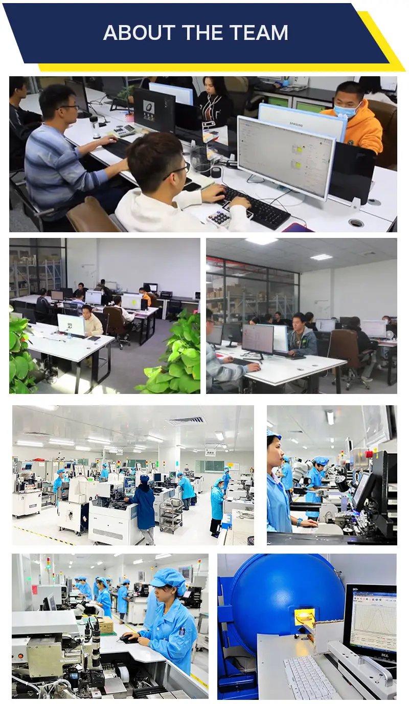 About the Team collage showing office workers at desks in a modern workspace under a blue banner with yellow accent.