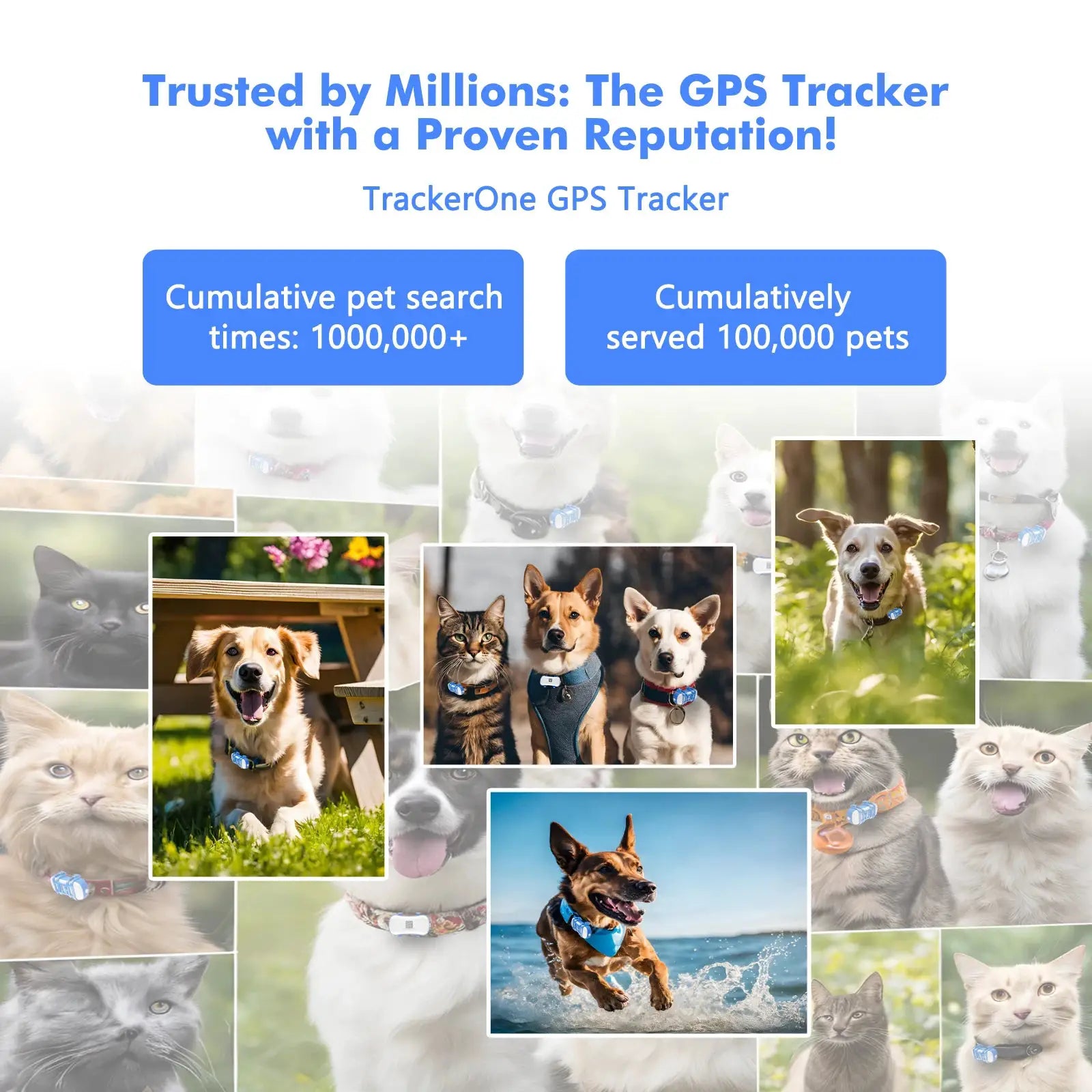 GPS Tracker for Dogs and Cats by Simples Market; blue collar GPS tag with built-in IoT SIM, collage of pets