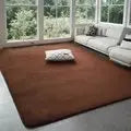 VIKAMA Modern Coral Velvet Carpet, brown non-slip living room rug.