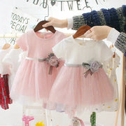 Summer Baby Girls Dress Princess Style Flower Ribbon Gauze Mesh Shaggy Dress for Birthday Parties