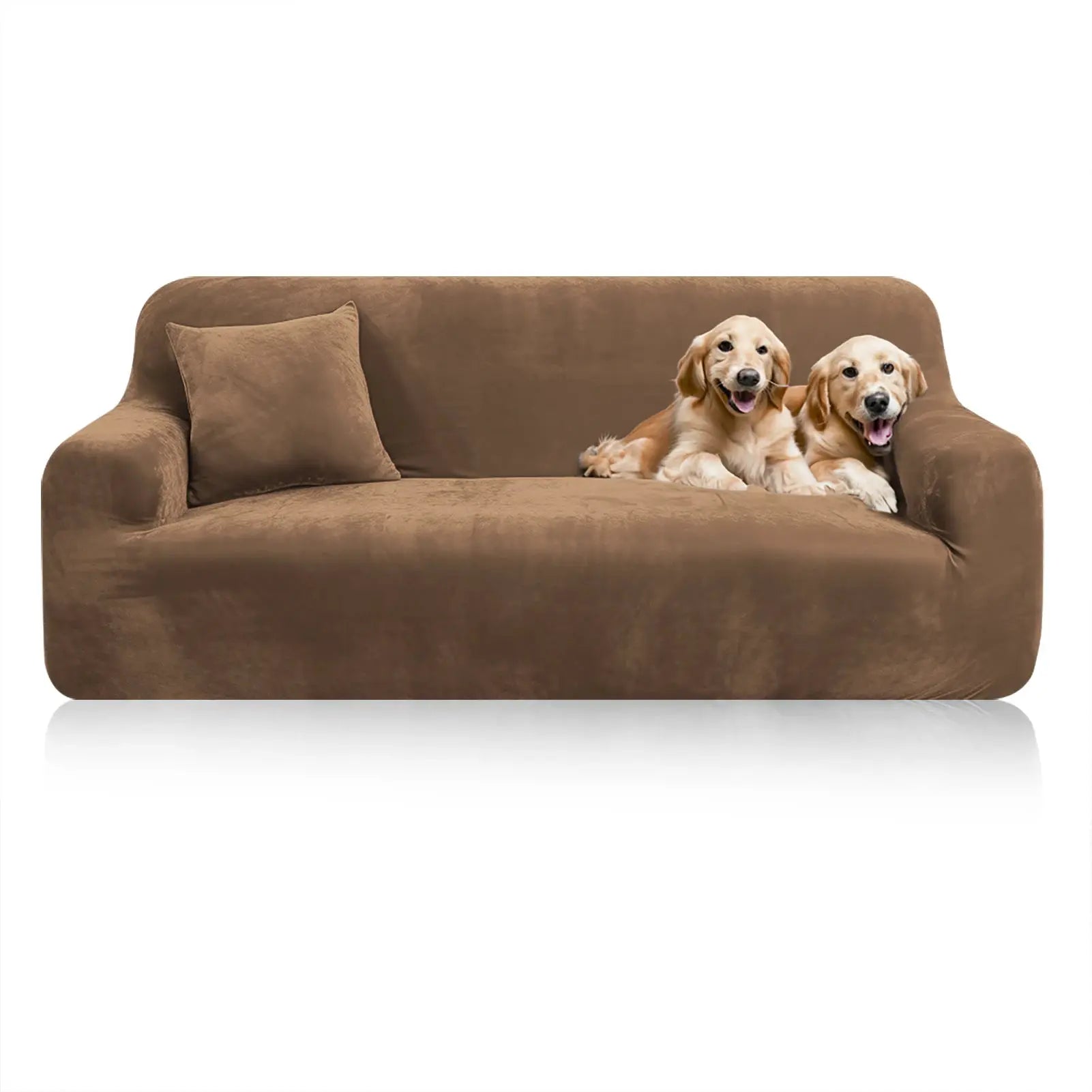 Stretch velvet sofa cover in brown with a matching cushion on a couch; two dogs resting on it.
