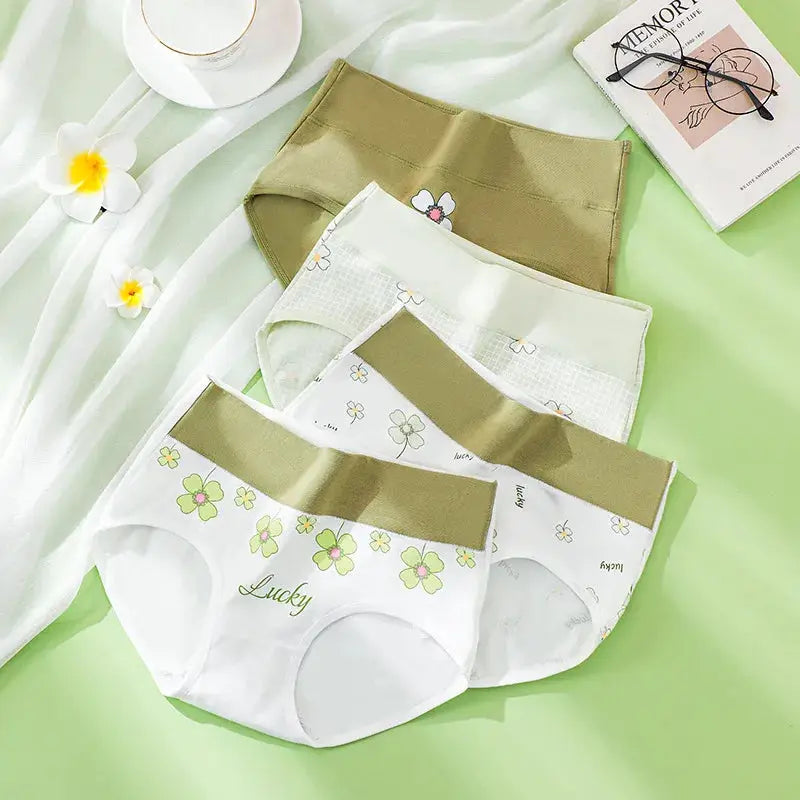4-pack high-waist cotton panties with floral prints in white and olive; breathable plus-size briefs