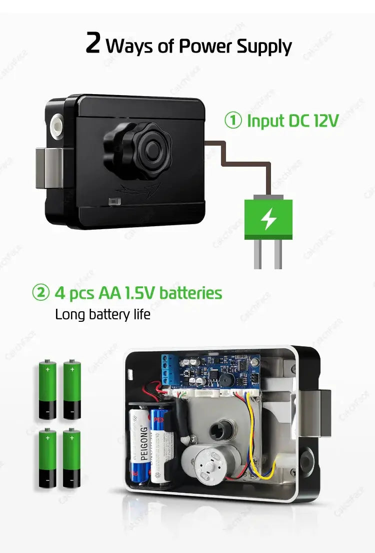 R5 PRO smart door lock, black with rust-proof coating; TTLock outdoor lock, powered by 12V DC or 4 AA batteries