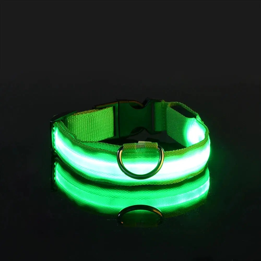 Nylon LED Night Safety Dog Leash And Collar With Flashing Glow In The Dark Luminous Fluorescent