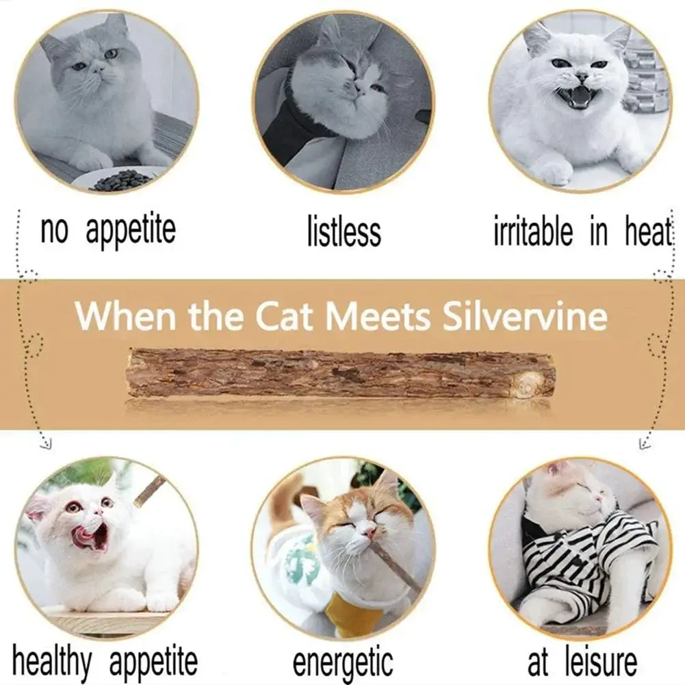 15pc matatabi catnip toy set for cats with natural silvervine chews for teeth cleaning