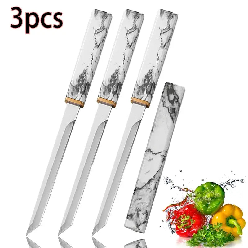 Professional Outdoor Small Knife Stainless Steel For Peeling Fruits And Vegetables And Camping Meat Cutting