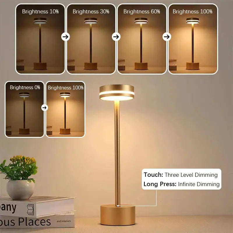 Touch Small Night Light LED Desk Lamp, aluminum body with bronze finish, three-level dimming
