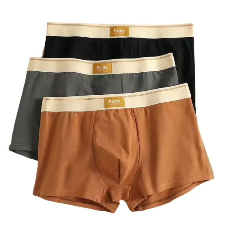 3-pack men's cotton boxer shorts in brown, gray, and black with beige elastic waistband and Pants label