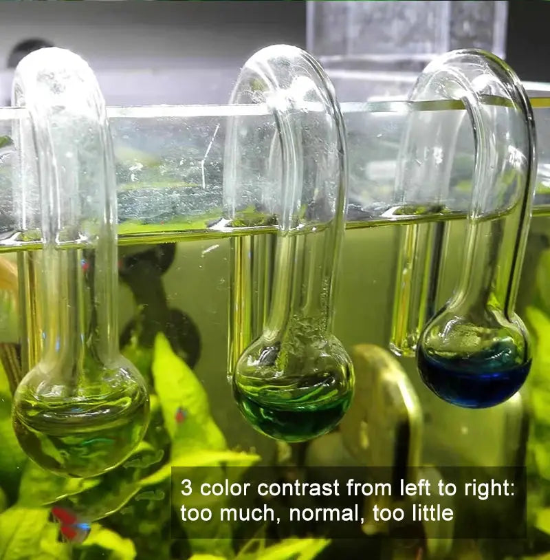 Three glass CO2 indicator drop-checkers in an aquarium, with green and blue liquids.
