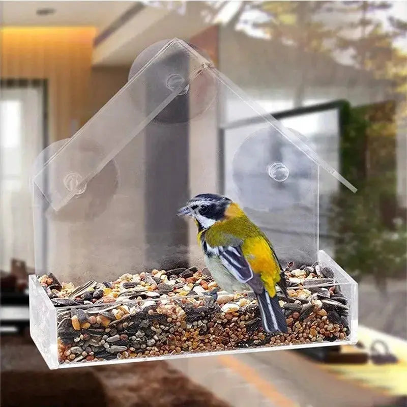 Transparent window bird feeder with removable seed tray and suction cup mounting; bird perched on seeds