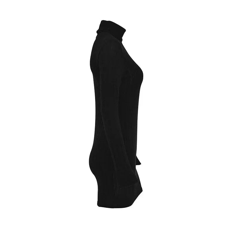Autumn Winter Women Turtleneck Solid Knitted Bodycon Mini Dress Party