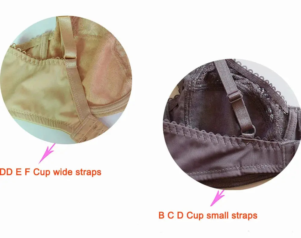 2 plus-size lace bras in beige and chocolate brown with wide beige straps and small brown straps.