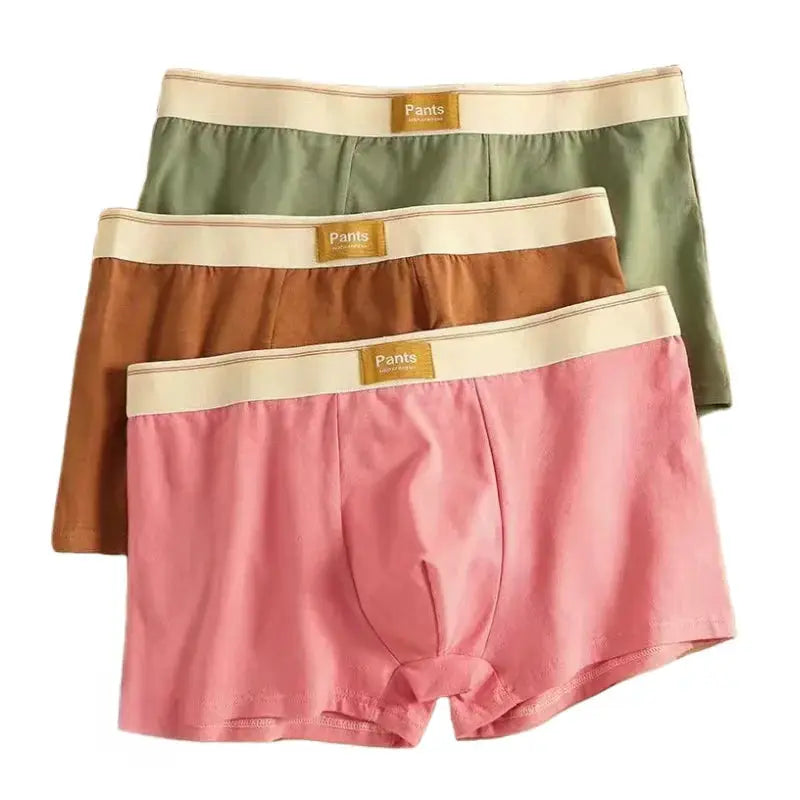 3-pack men's cotton boxer shorts by Simples Market in pink, brown and olive green with beige waistbands