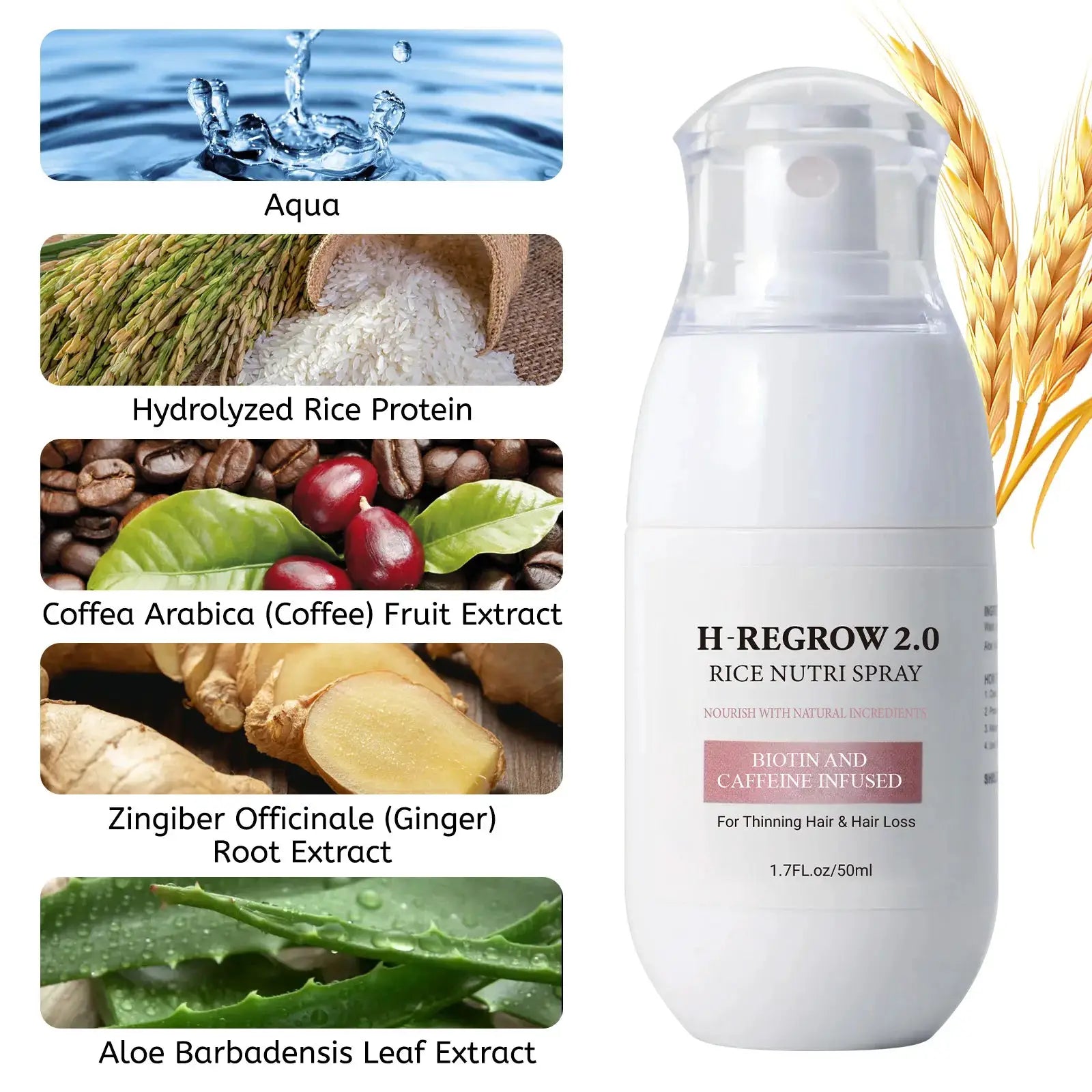 Rice Water Hair Spray For Thinning Hair Follicle Strengthening With Biotin And Caffeine Nourishing Hair Loss Prevention