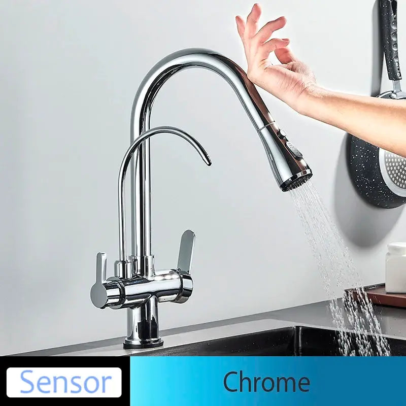 Chrome pull-out kitchen faucet with dual handles and handheld spray head