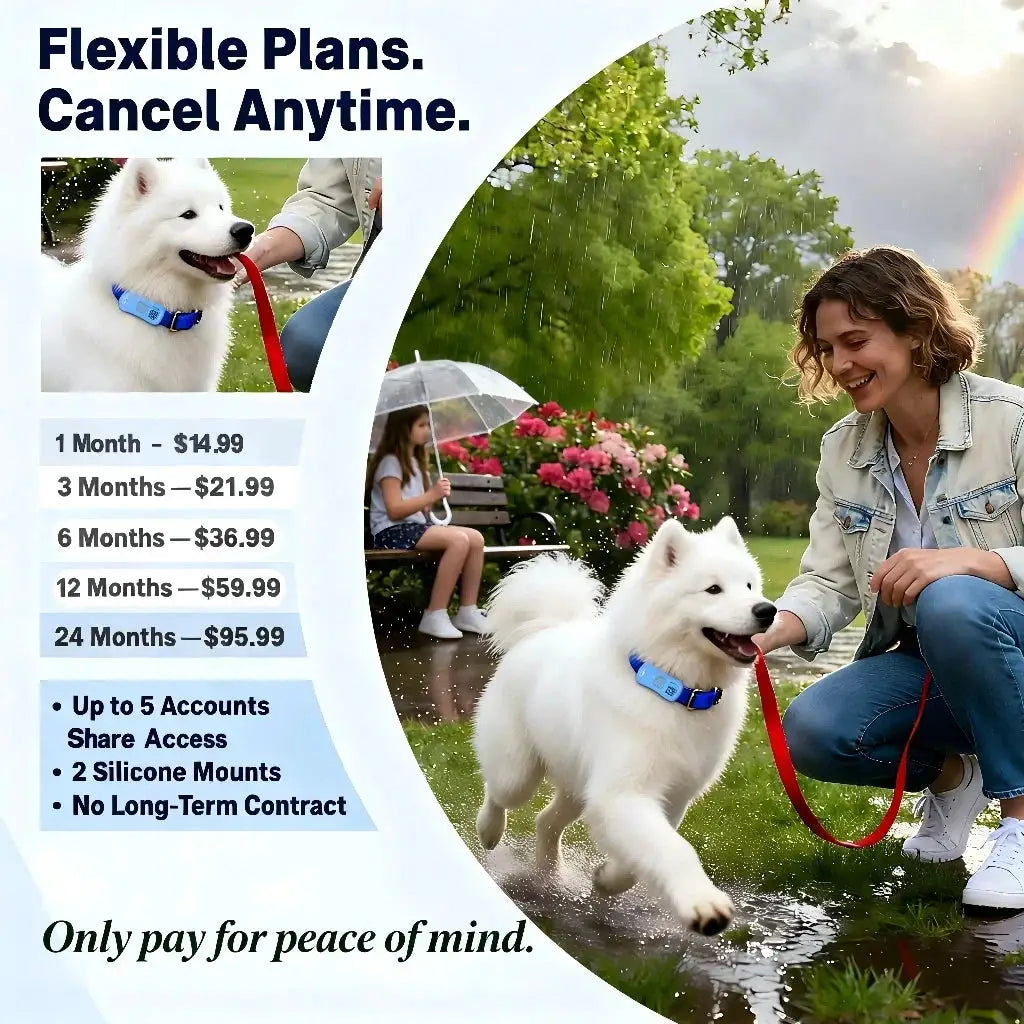 GPS Pet Tracker for dogs and cats by Simples Market, blue collar on a leashed dog