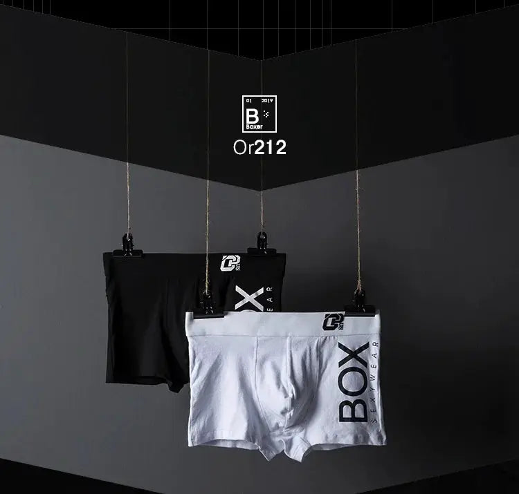 Three men's cotton boxer underwear hanging on ropes, black and white styles.