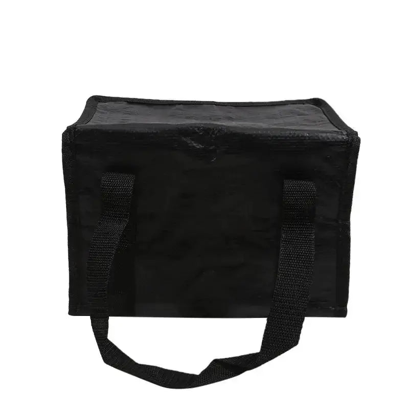 Portable large insulated food delivery bag in black with dual carry handles
