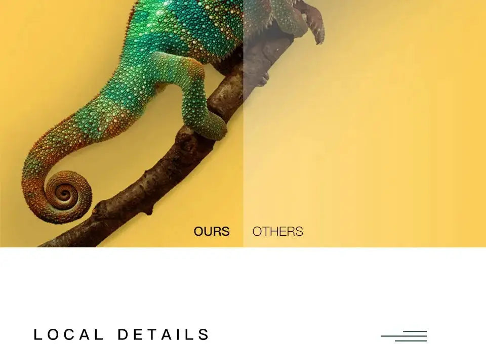 Chameleon on a branch visual banner split with OURS vs OTHERS on yellow background