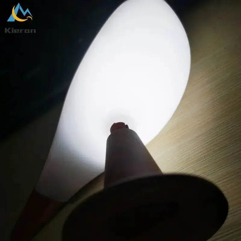 Nordic modern Magpie LED desk light with white lampshade and wooden base on a desk
