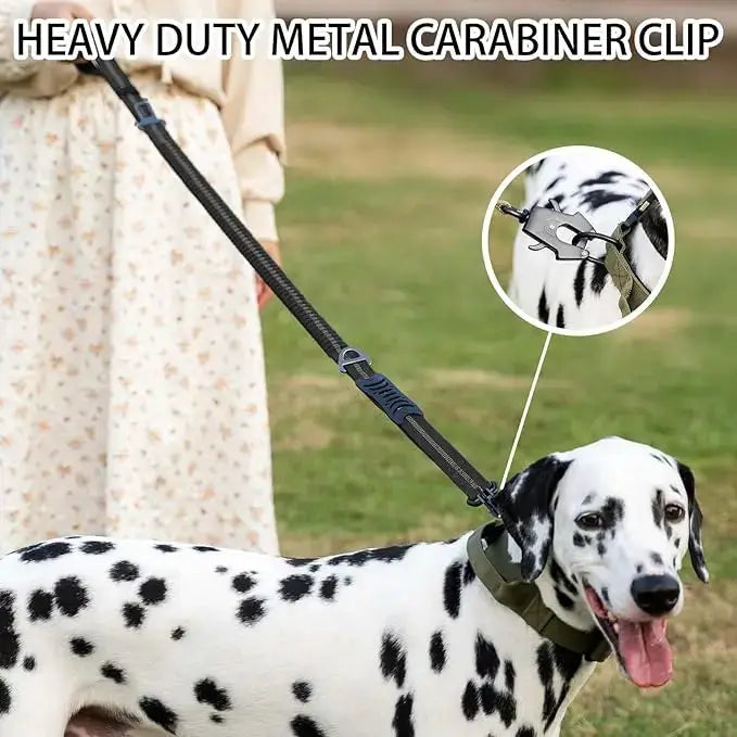 Reflective Shock Absorbing Pet Leash For Large Dogs With Car Seatbelt Heavy Duty Tactical Bungee No Pull