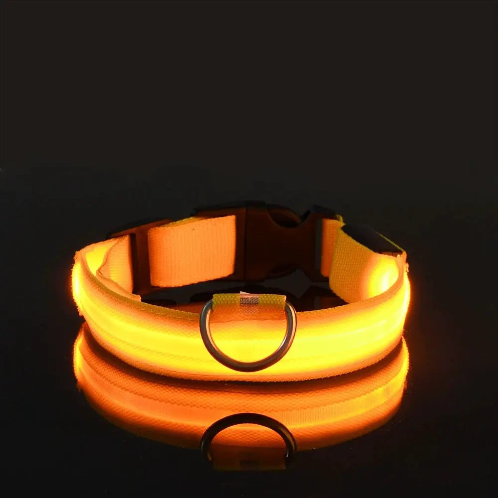 Nylon LED Night Safety Dog Leash And Collar With Flashing Glow In The Dark Luminous Fluorescent