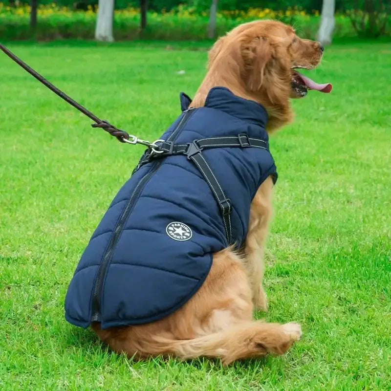 Large dog jacket with harness in navy blue; quilted waterproof coat by Simples Market