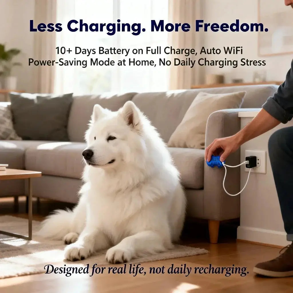 GPS pet tracker for dogs and cats, blue device plugged into wall outlet beside a white fluffy dog indoors.