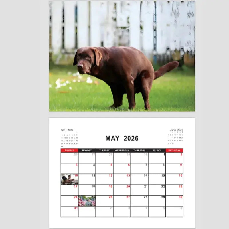 Dog calendar featuring a brown Labrador above a May 2026 calendar page