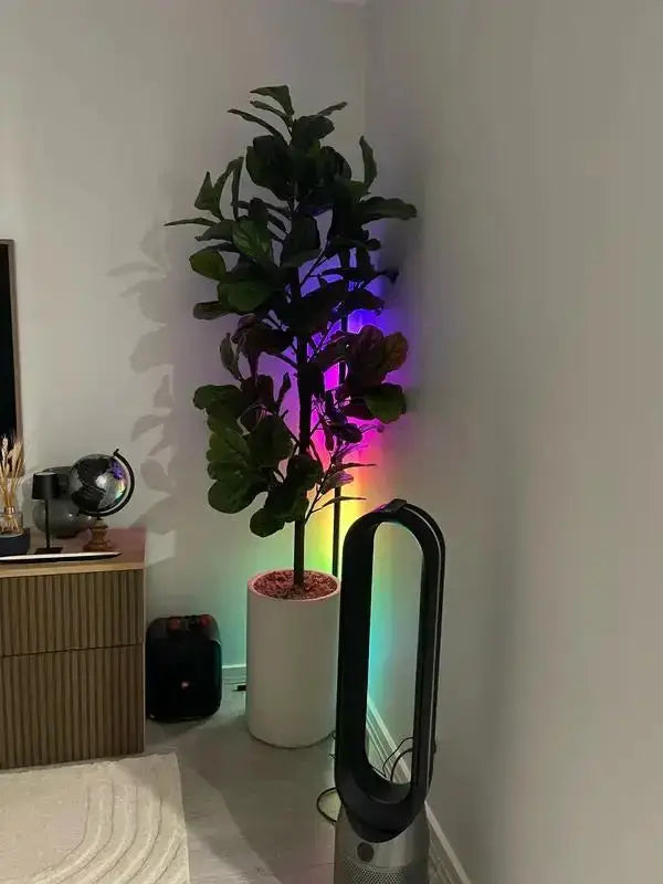 Corner floor lamp by Simples Market; smart RGB LED with remote and app control, black oval frame