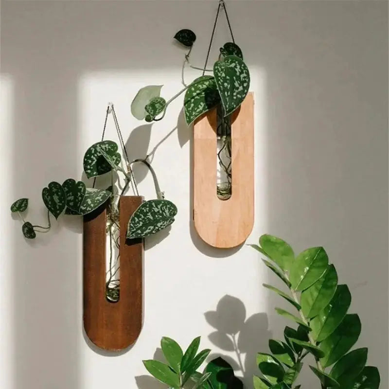 Wooden hanging planters Bohemia wall propagators with glass tubes; two planters in light and dark wood finishes