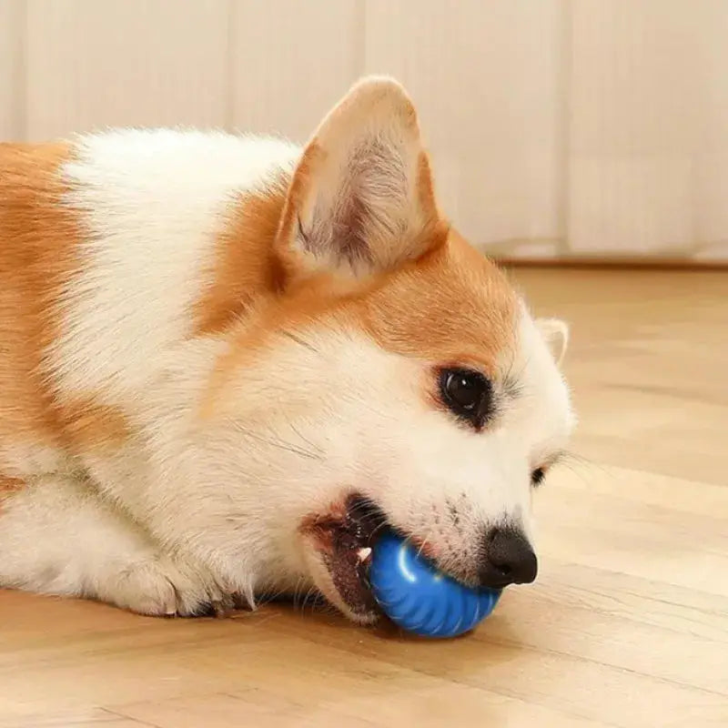 Automatic Moving Dog Toy Ball With Smart USB Jumping Rotating Interactive Chew Ball For Puppy
