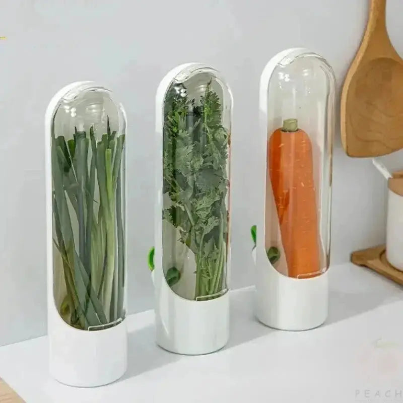Cross Border Vanilla Vegetable Fresh Keeping Box Dust Proof Anti Pressure Environmental Protection Storage Device