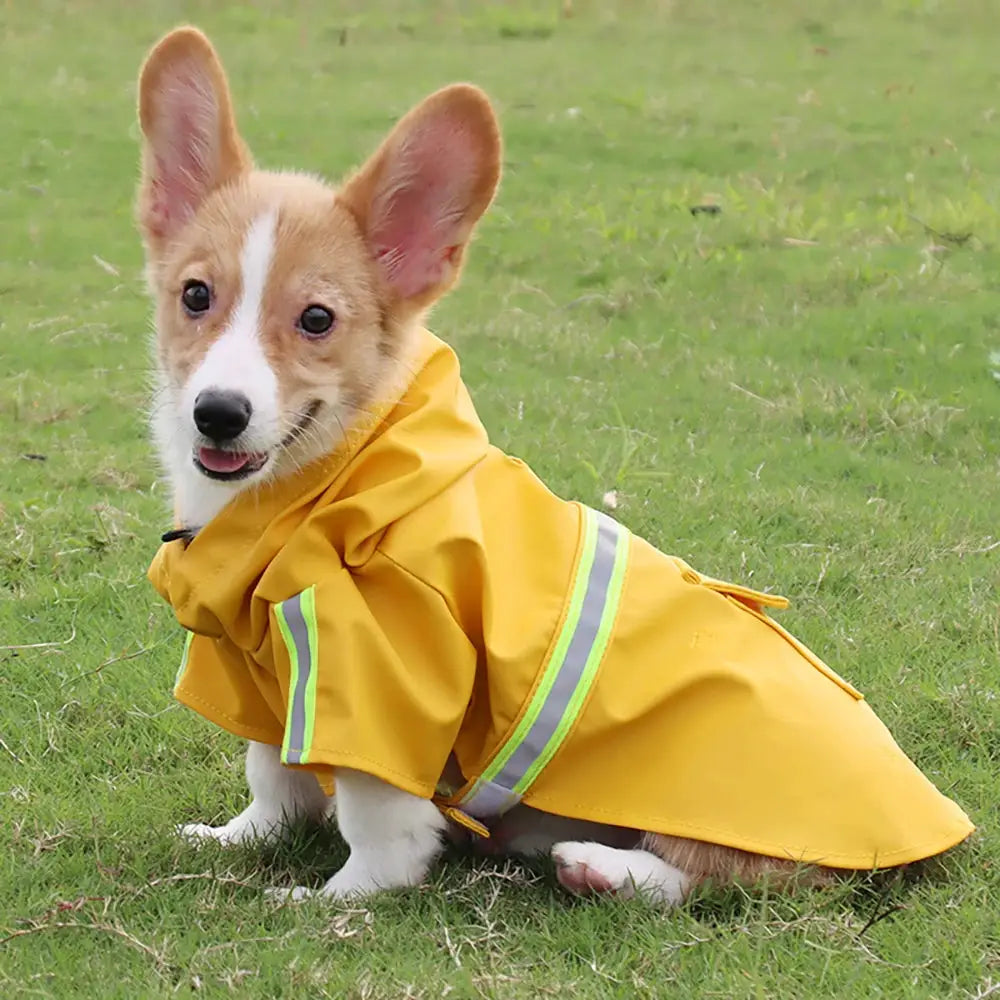 Large Corgi Cloak Style Raincoat Waterproof Windproof Reflective Hooded Dog Raincoat for Weatherproof Protection
