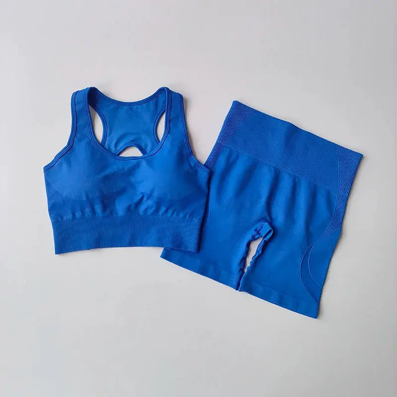 ZenFlex Seamless Yoga Set for Women Breathable Quick Dry Two Piece High Waist Bra and Shorts