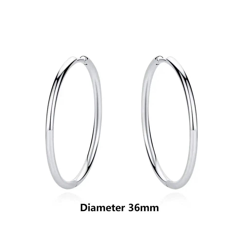 925 Sterling Silver Stud Hoop Earrings For Women Crystal Zircon Rose Gold Crown Heart Infinity Bee Design Jewelry
