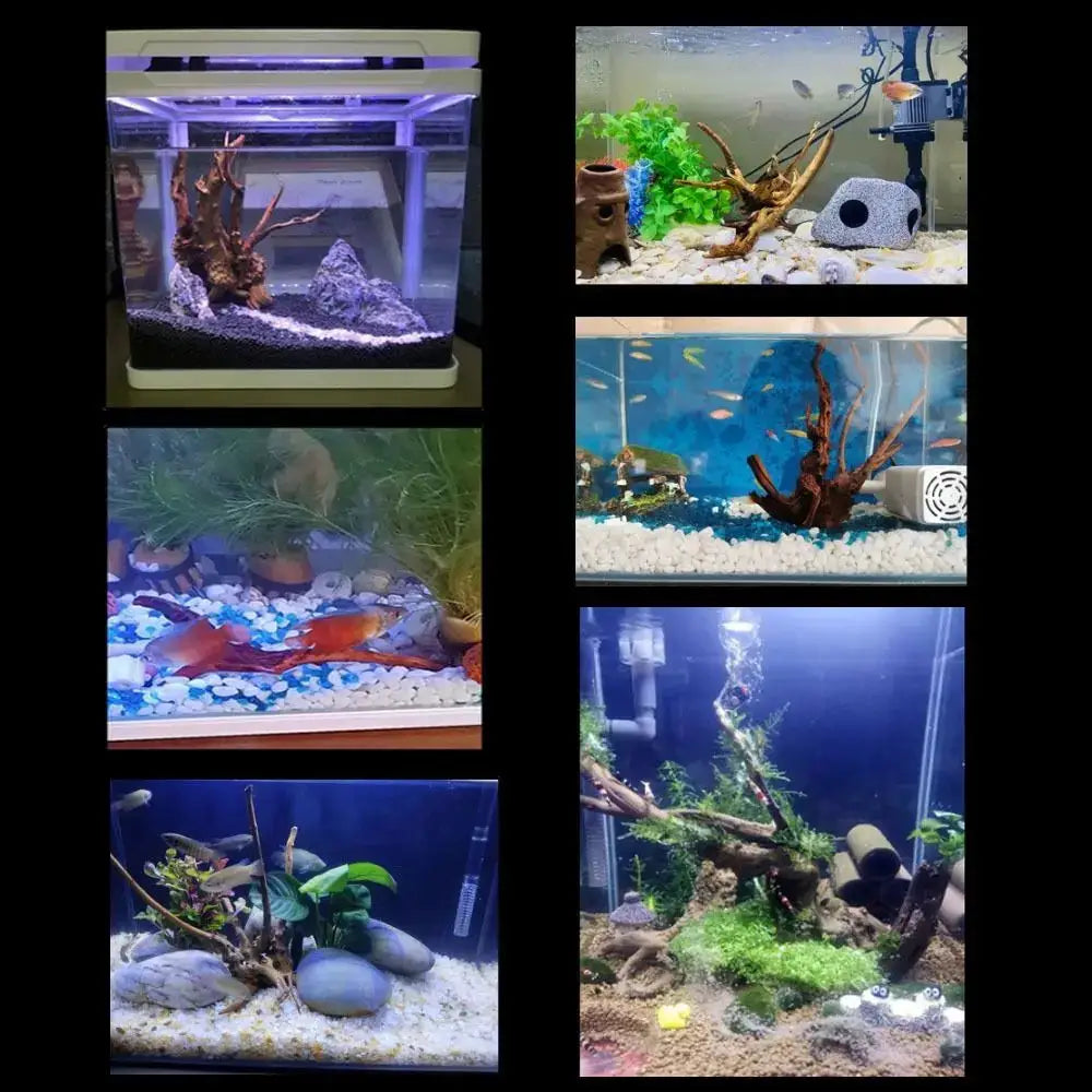 Large Driftwood Aquarium Decor Natural Fish Tank Tree And Stump Landscaping For Fish Tanks