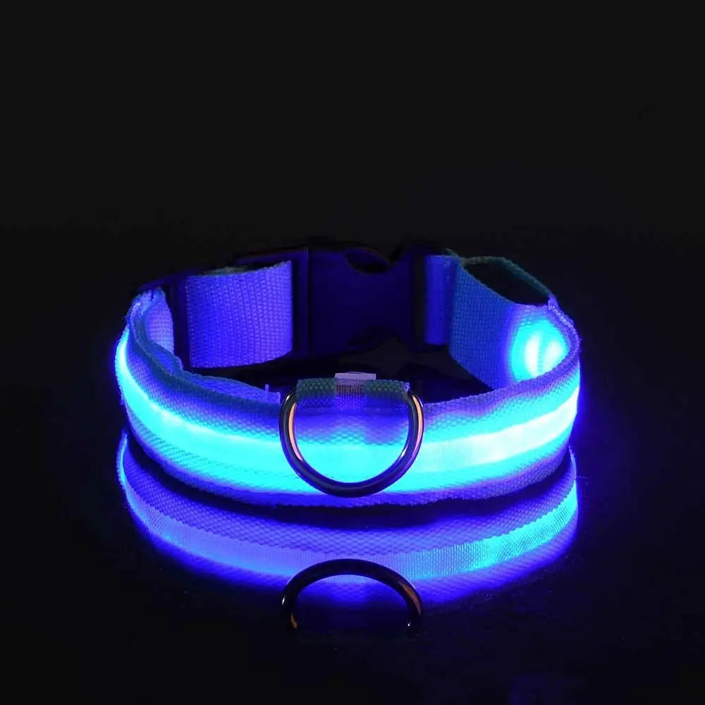 Nylon LED Night Safety Dog Leash And Collar With Flashing Glow In The Dark Luminous Fluorescent