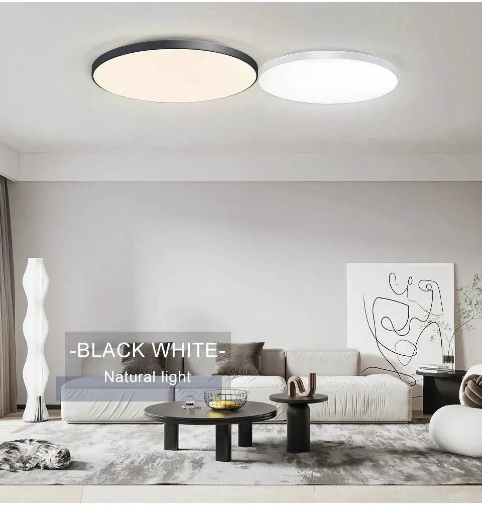 MARPOU smart ceiling lamp pair with dual round LED panels in black and white, 80W, remote dimmable Simples Market