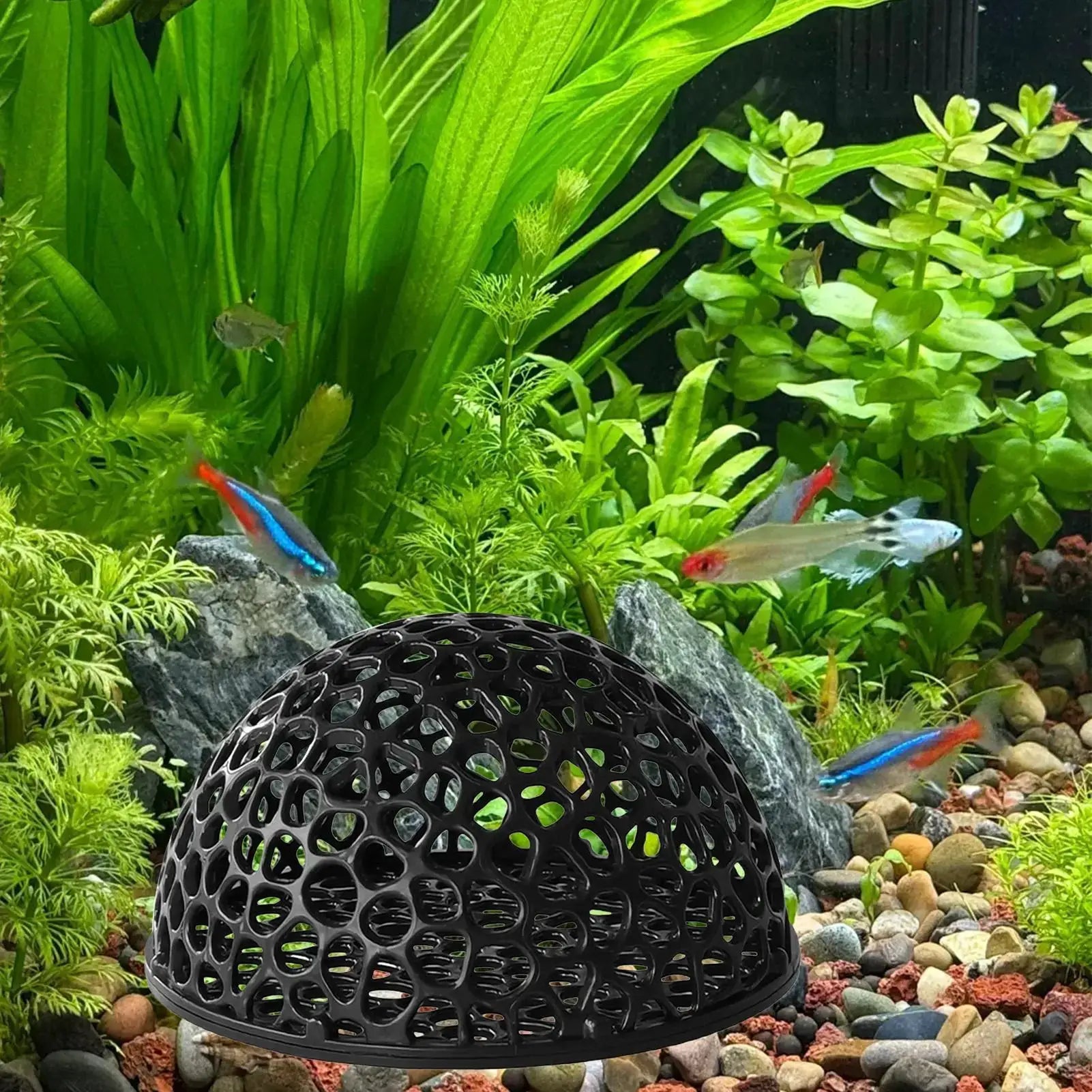 Shrimp Breeding Cave for Fish Tank and Shrimp Hiding Place Betta Habitat Aquarium Decoration