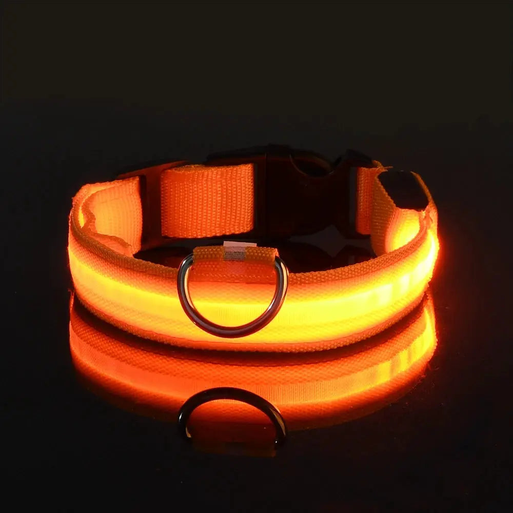 Nylon LED Night Safety Dog Leash And Collar With Flashing Glow In The Dark Luminous Fluorescent