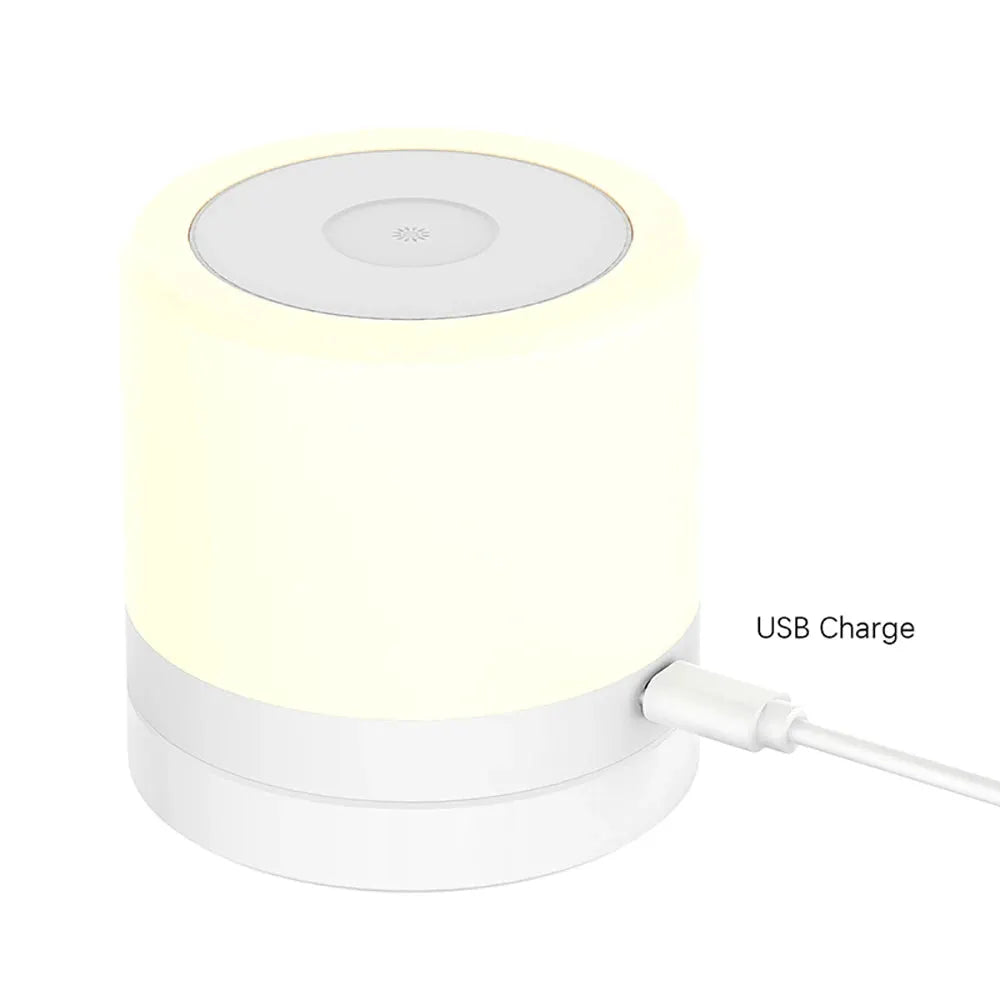 RGB night lamp camping light with USB charging base