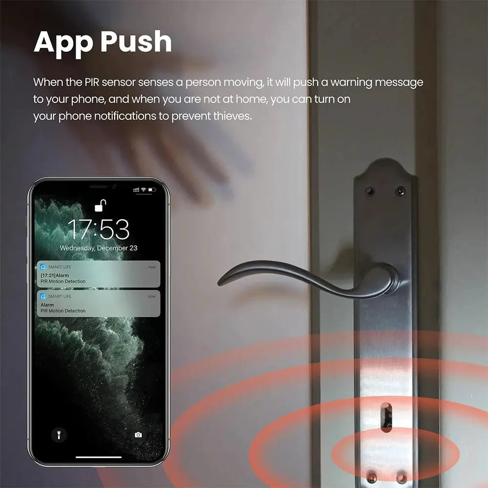 Tuya 2-in-1 Zigbee PIR motion detector with bright lux light by Simples Market; compact black door sensor