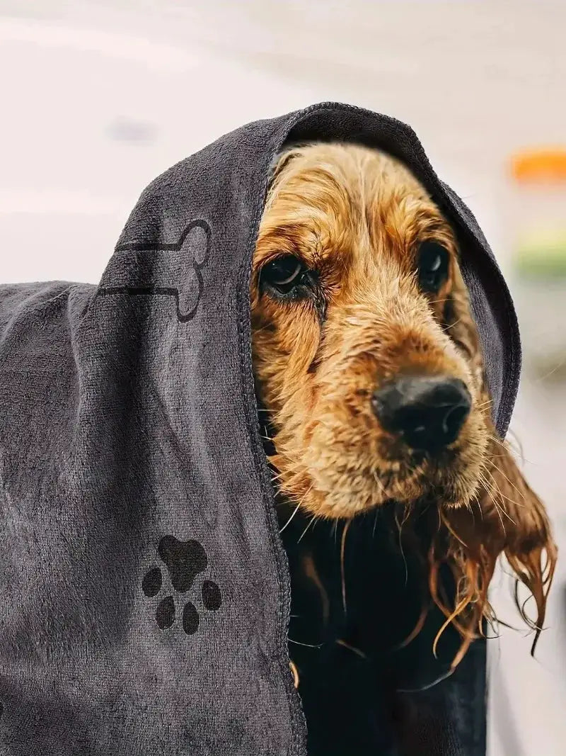 Gray microfiber dog towel, quick-drying pet bath towel draped over a spaniel.