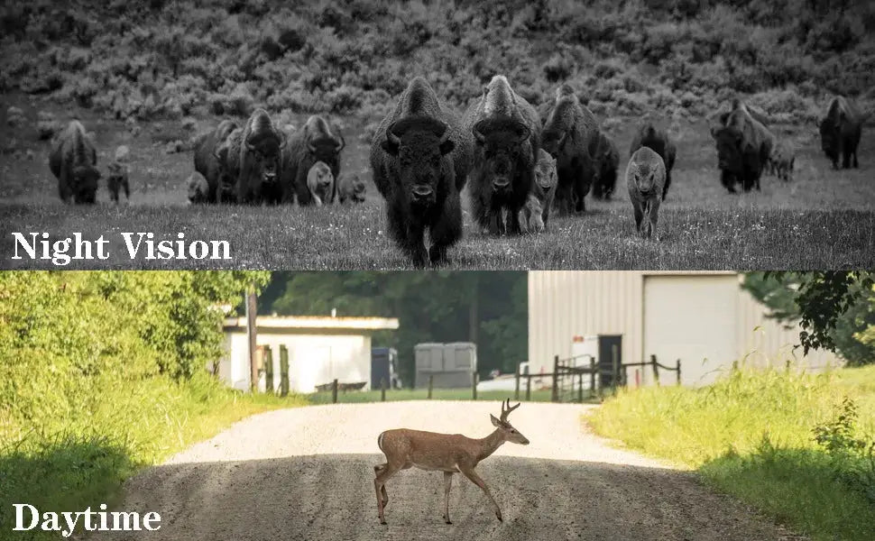 Wildlife hunting camera, 4K dual-lens, Simples Market, night-vision herd scene and daytime deer crossing