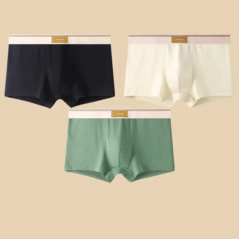 3-pack men's cotton boxer shorts by Simples Market in navy, cream, and green