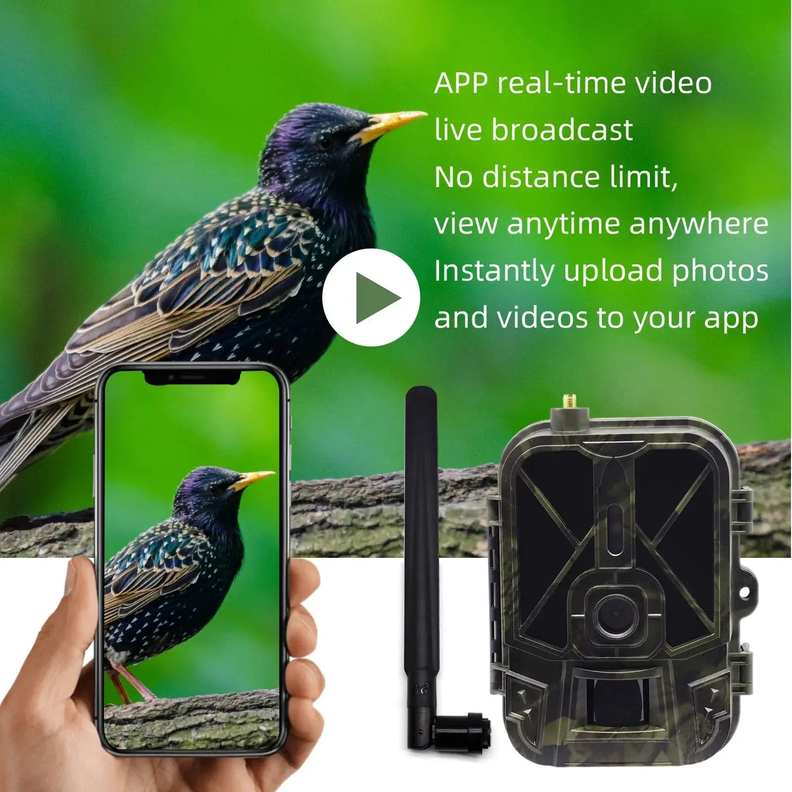 Simples Market camouflage 4G night vision hunting camera with 8000mAh battery and app control, wireless game scout
