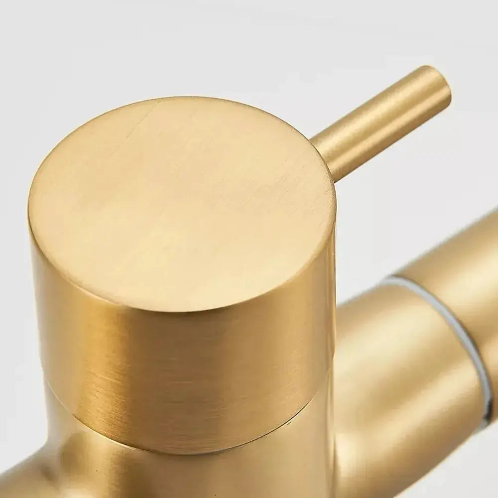 Kitchen pull-out faucet in brass gold finish with cylindrical top handle