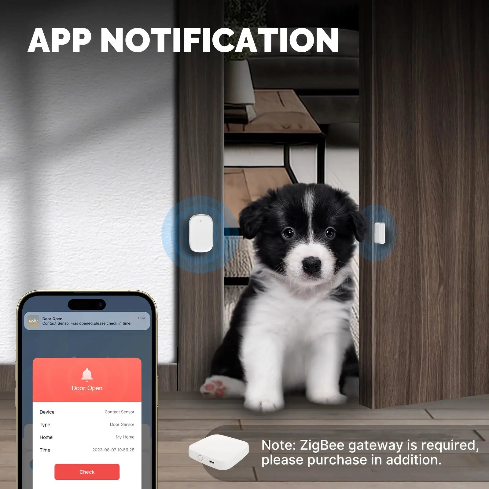MOES ZigBee window/door sensors, two white units with TUYA app alerts and gateway