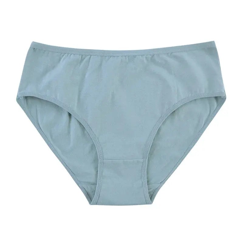 Simples Market cotton seamless briefs, light blue, women's underwear